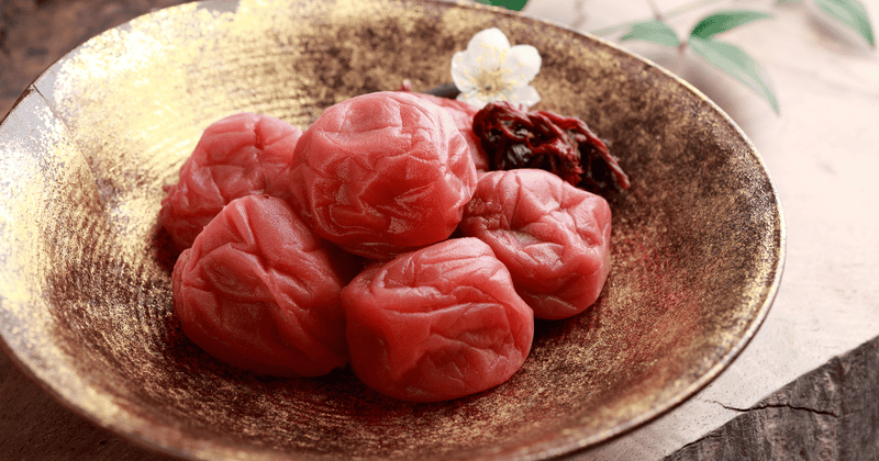 梅干し干し終わったらどうする？保存方法から梅酢活用まで徹底解説