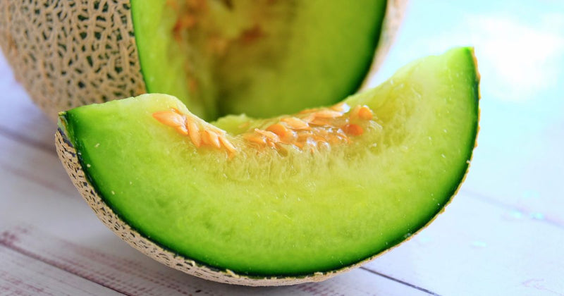 メロンは野菜？果物？知っておきたい分類の真実