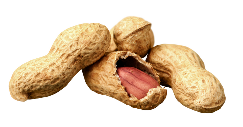 生の落花生を長期保存！美味しさを保つ秘訣と活用レシピ