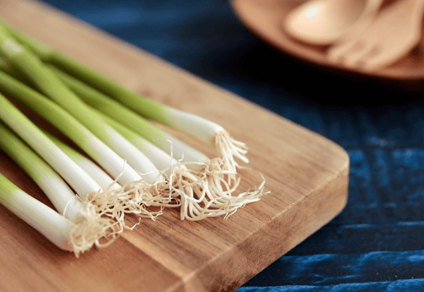 九条ねぎ旬：京の伝統野菜、甘みと薫りの秘密