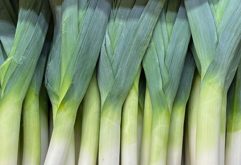 玉ねぎとネギの違いを徹底解説！特徴・栄養・調理法・保存方法まで