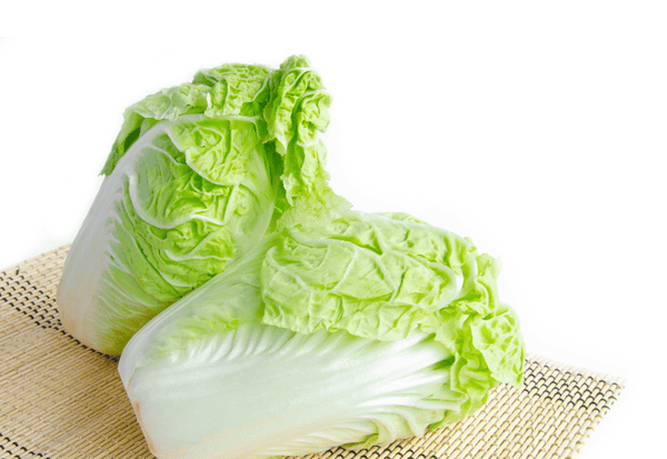 白菜の小さな虫が大量発生！原因と安全な対処法を徹底解説