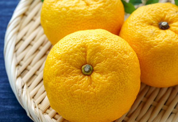 柚柚の魅力：香りの秘密から栄養、レシピまで徹底解剖