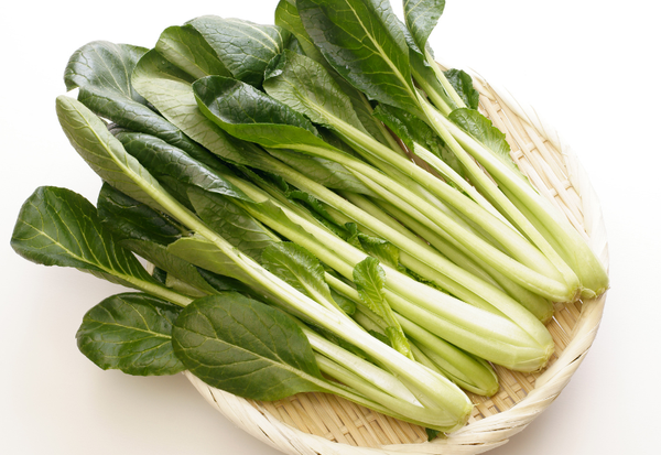 小松菜のすべて：栄養、旬、選び方、保存、下処理、切り方、調理法まで完全ガイド