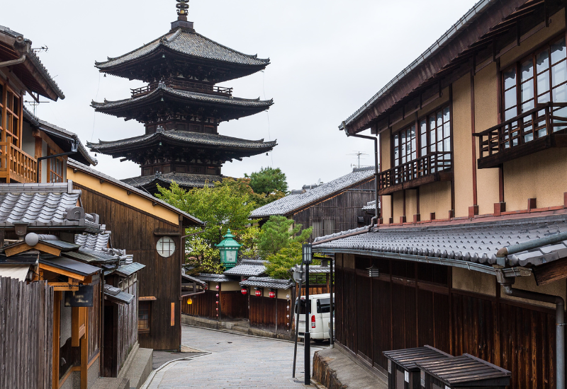 京の伝統野菜、壬生菜（みぶな）とは？～水菜との違いから歴史、美味しい食べ方まで