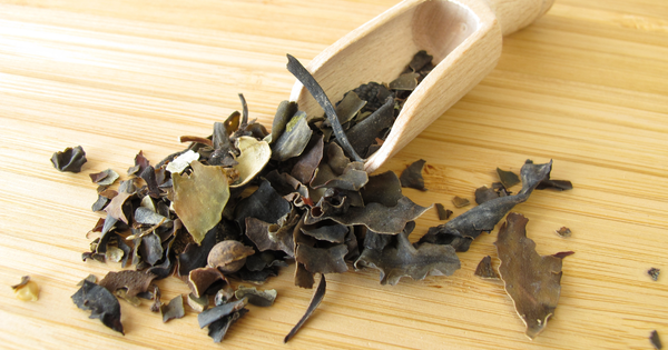 コンブチャダイエットは本当に効果がある？管理栄養士が教える痩せる飲み方と最適なタイミング