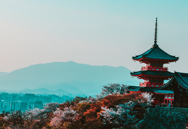 生八つ橋の賞味期限と保存方法