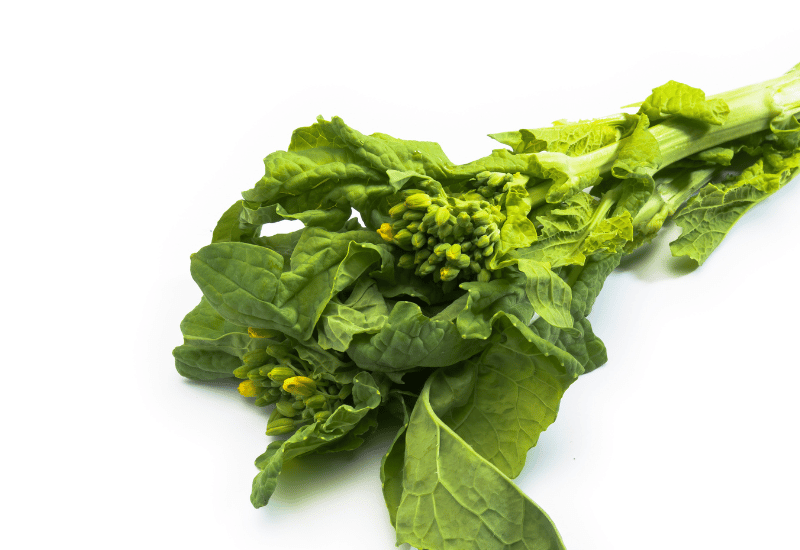 菜の花の旬、栄養、選び方徹底解説