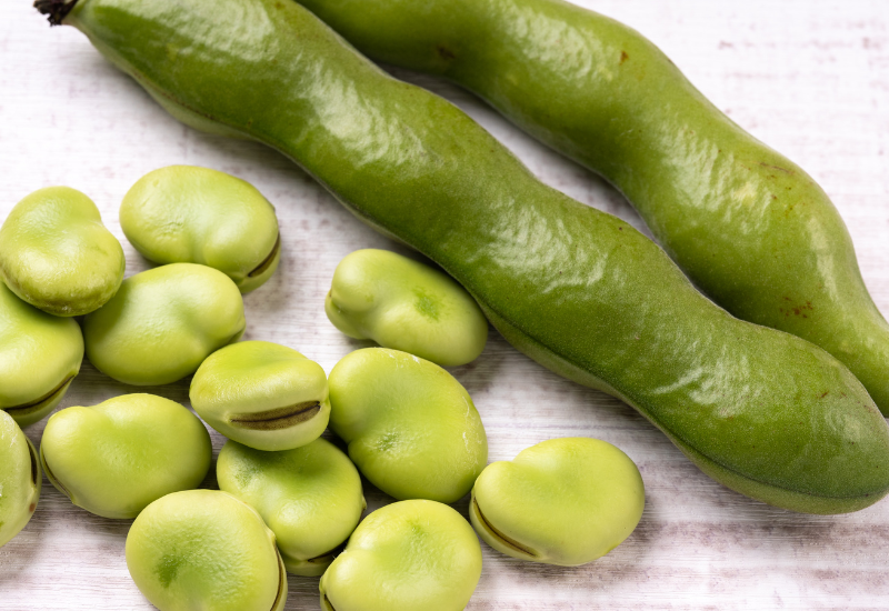 そら豆の旬はいつ？時期ごとの特徴とおいしさを最大限に引き出す調理法