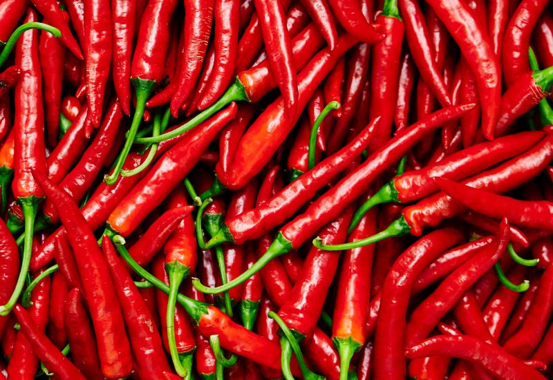 唐辛子とは：辛さ、種類、そして世界を彩る万能スパイス