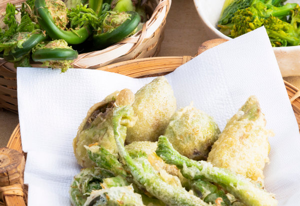 要注意！山菜アイコ（ミヤマイラクサ）にそっくりな植物の見分け方