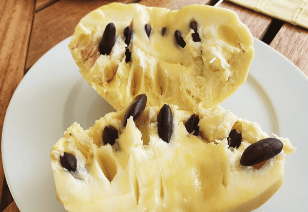 ポポー食べ頃の見極め方：幻の果実を最高の状態で味わう！