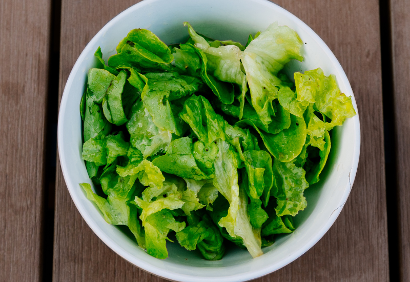 レタスの産地を探る！国内の生産状況を解説