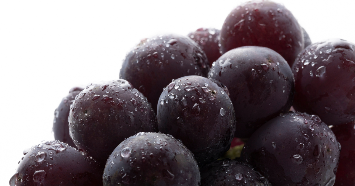 冷凍巨峰の保存とアレンジ完全ガイド｜甘みを逃さず楽しむ簡単レシピ付き