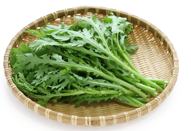 春菊は冬が旬！栄養満点な春菊を味わい尽くす