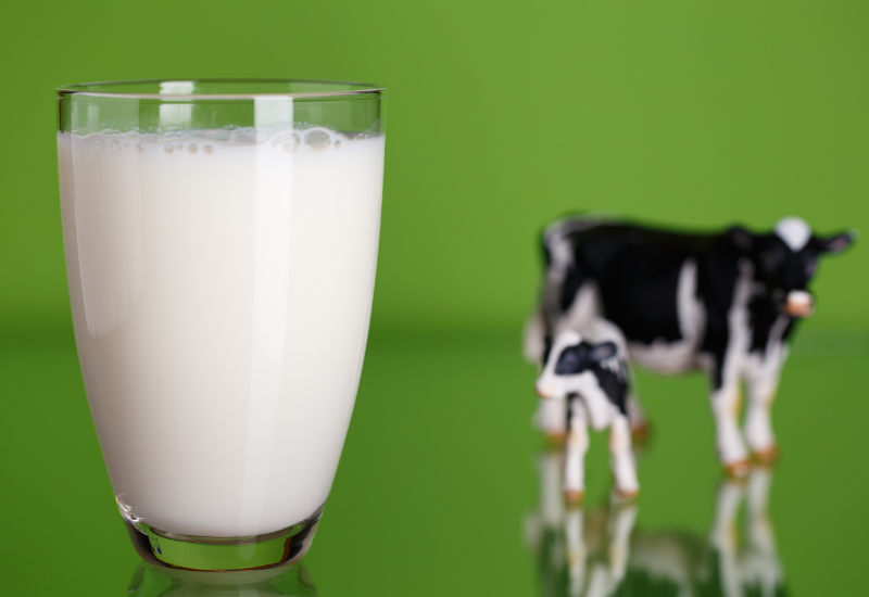 牛乳の比重とは？ お菓子作りで知っておきたい基礎知識と計量方法