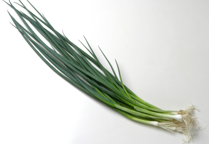 ニラの栄養効果と効能：健康を支える万能野菜の秘密