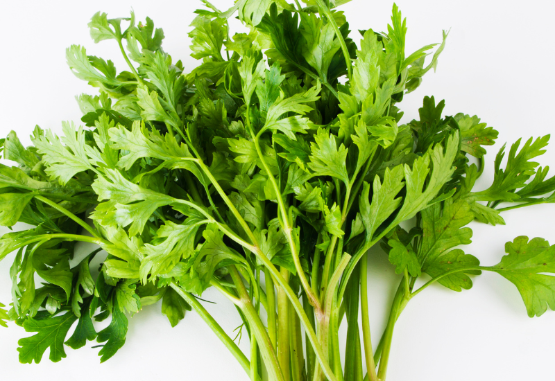 春菊の切り方完全ガイド：用途別の最適解で風味を最大限に引き出す！