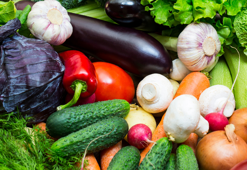 加賀野菜とは？金沢の老舗八百屋が語る15種類の魅力と美味しい食べ方