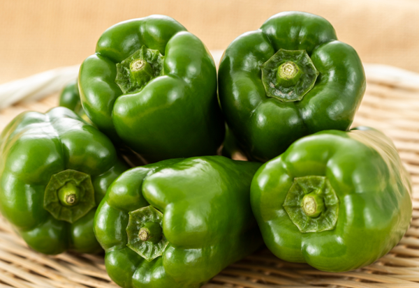 家庭菜園の入門に最適！ピーマン栽培のノウハウと成功の秘訣