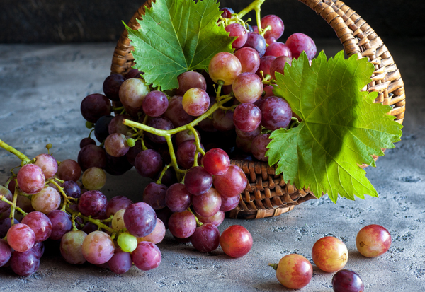 マニキュアフィンガー：指先を彩る、甘美な宝石