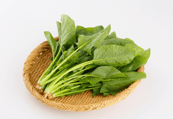 ほうれん草とは？栄養満点な緑黄色野菜の秘密を徹底解説！