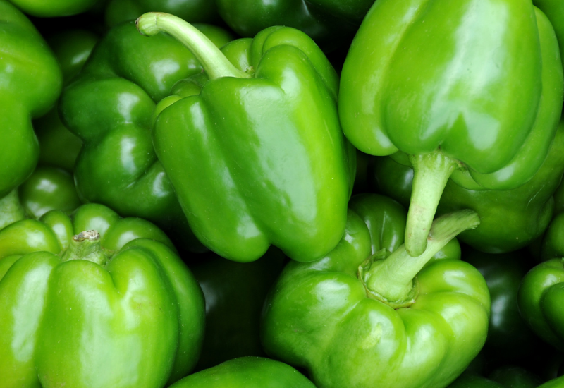ピーマンの産地：日本全国の生産地と品種の多様性を探る