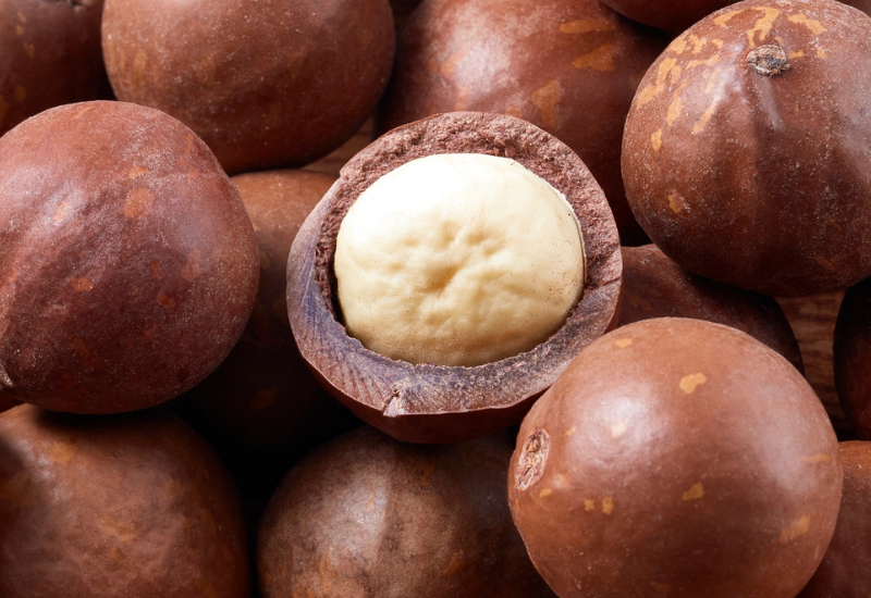 マカダミアナッツの驚くべき効能：美容と健康をサポートする秘密