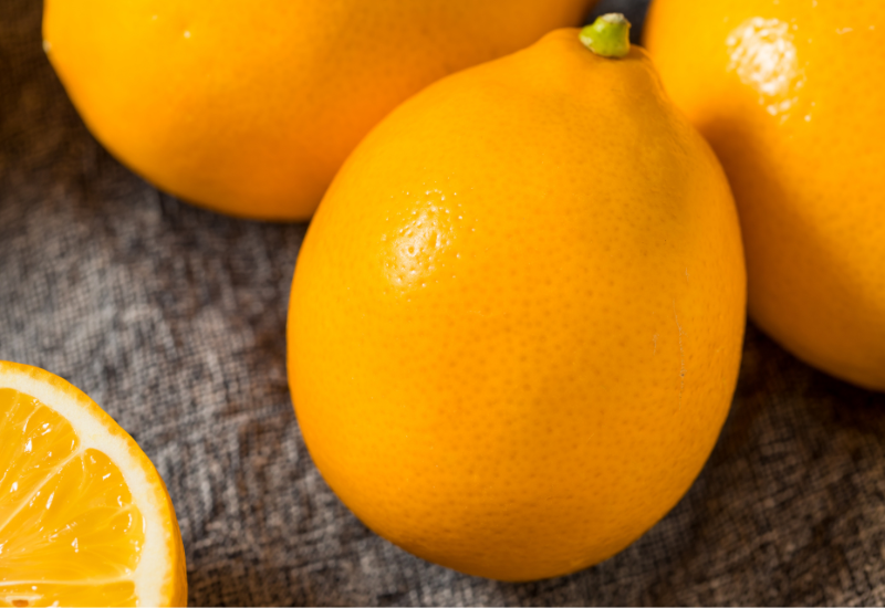 マイヤーレモン レモン 違い