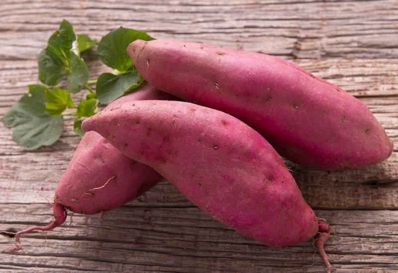 犬腎臓病さつまいも