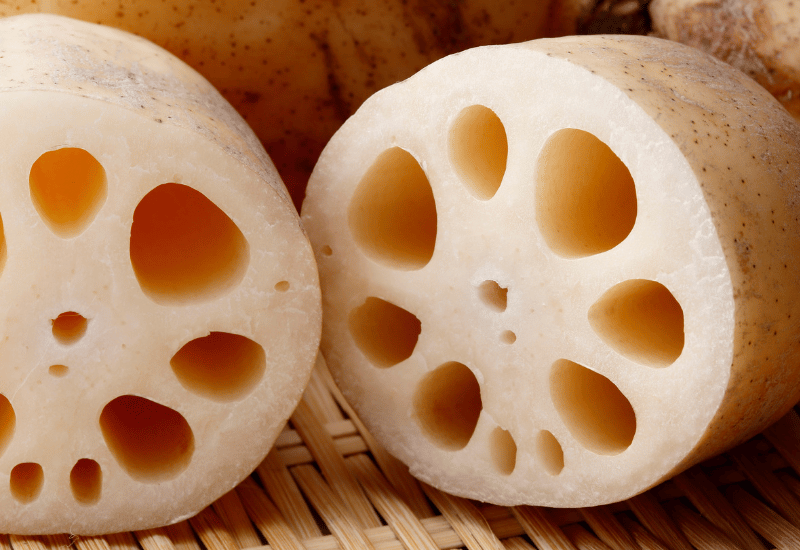 れんこんの旬、選び方から、部位ごとの特徴まで徹底解説