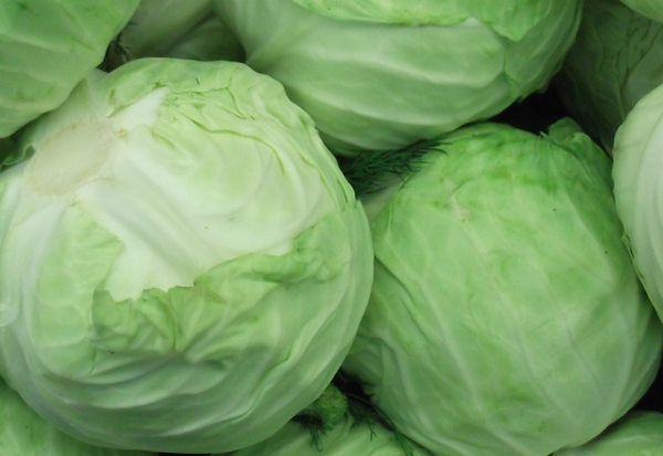 最新のキャベツ生産量ランキング