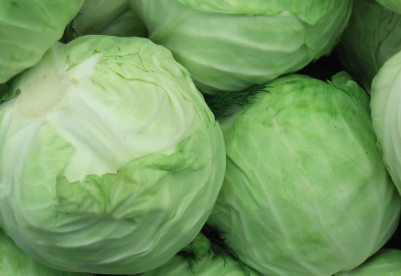 最新のキャベツ生産量ランキング