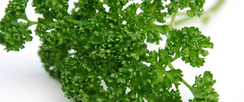 バジルとパセリの違いを徹底解説！風味・栄養・料理での使い分けまで