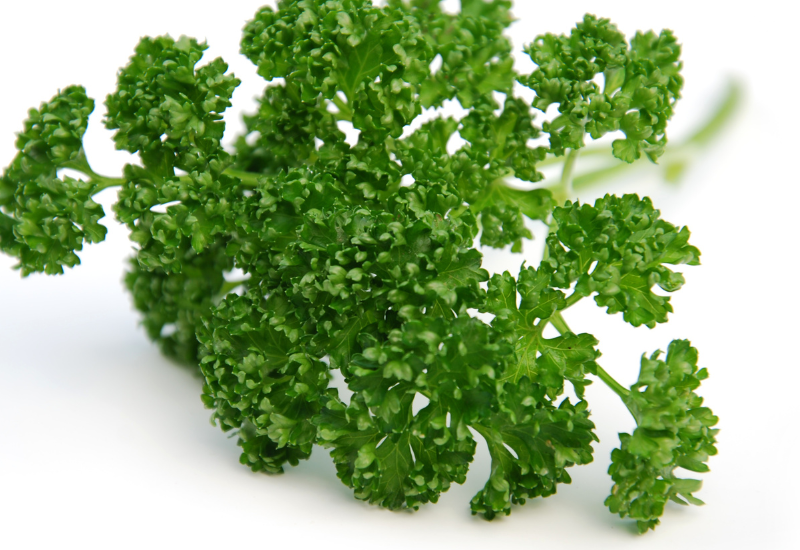 バジルとパセリの違いを徹底解説！風味・栄養・料理での使い分けまで