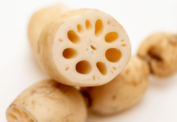 レンコン保存期間：鮮度を保つ秘訣と長持ちさせる方法を徹底解説