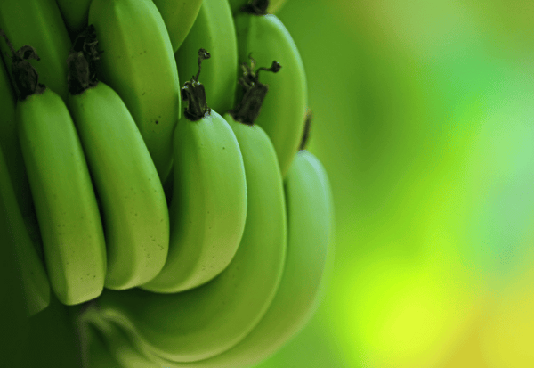 グリーンバナナの新しい食べ方：レシピから栄養まで徹底解説！