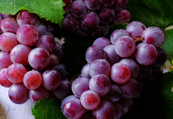 マニキュアフィンガー：指先を彩る、魅惑のぶどう物語