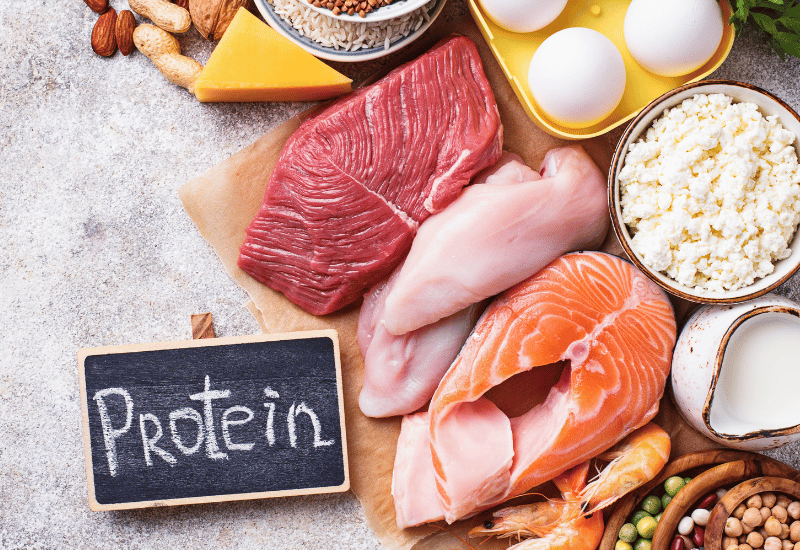 タンパク質はなぜ必要？体を作る上で重要な理由と摂取のヒント