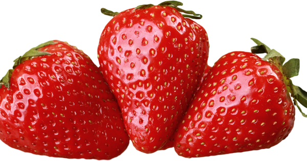 スカイベリー：特徴、糖度、産地、名前の由来まで徹底解説