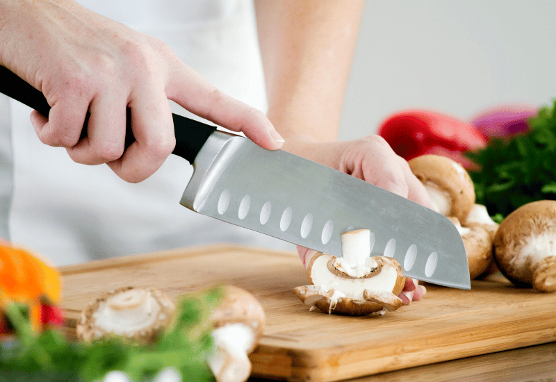 きのこは何類？生物学的な分類
