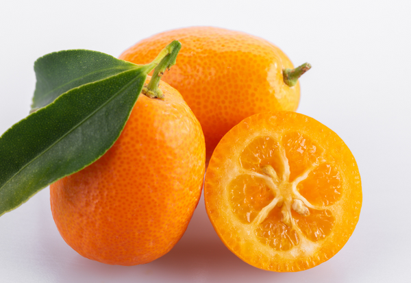 驚くべき効果！金柑が秘める栄養と効能のすべて