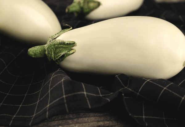 とろける食感がたまらない！白ナスを使った絶品レシピと調理の秘訣