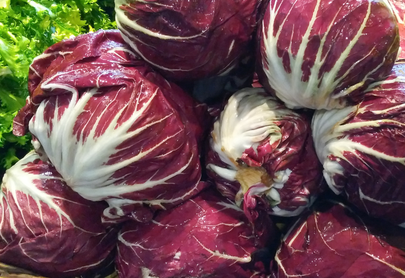 ラディッキオ（トレビス）とは？：特徴・栄養・食べ方・レシピを徹底解説