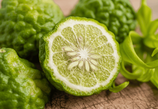 こぶみかんの育て方：香り高い実を収穫するための完全ガイド