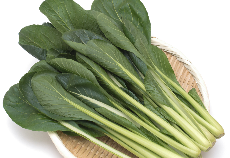 菜菜小松の賞味期限を最大限に活かす！新鮮さを見て、じっくりと保存するテクニック