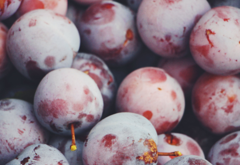 便秘解消の鍵？プルーン1日の摂取目安と効果的な食べ方