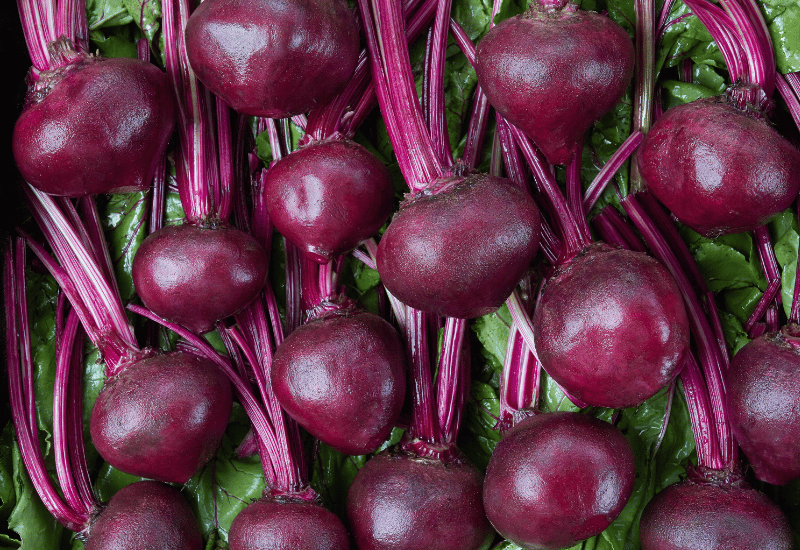 栄養満点！ビーツの茹で方：鮮やかな赤色と旨味を最大限に引き出す