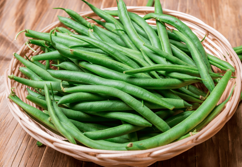 いんげん効果：旬の味覚がもたらす風味と栄養の秘密