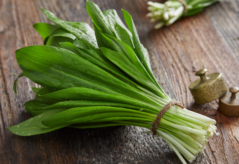 野蒜（ノビル）とは？身近な野草の魅力と活用法